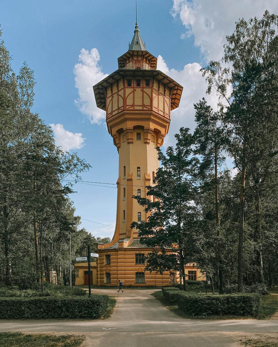 Фото автора