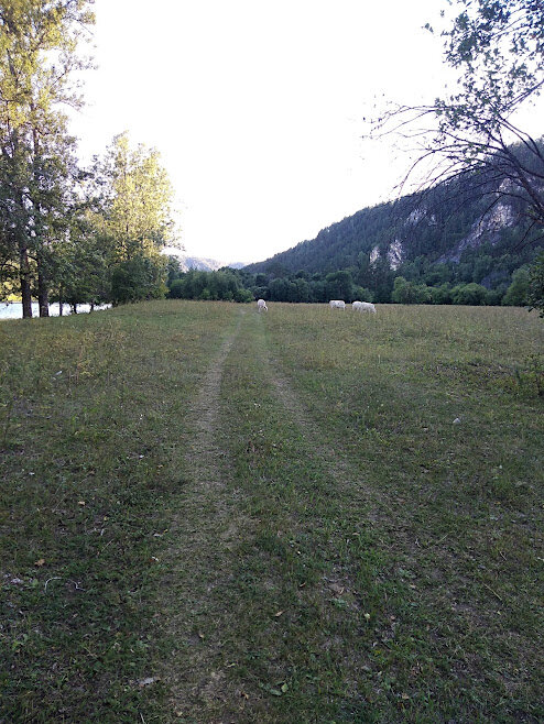  Первая остановка. Полянка с горами и животными.