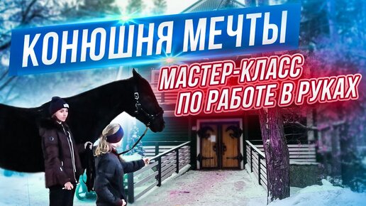 Новая конюшня? МАСТЕР-КЛАСС по работе в руках