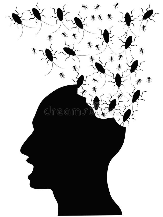 по одной из легенд фразеологизм насчёт церебральных тараканов придумал Пушкин