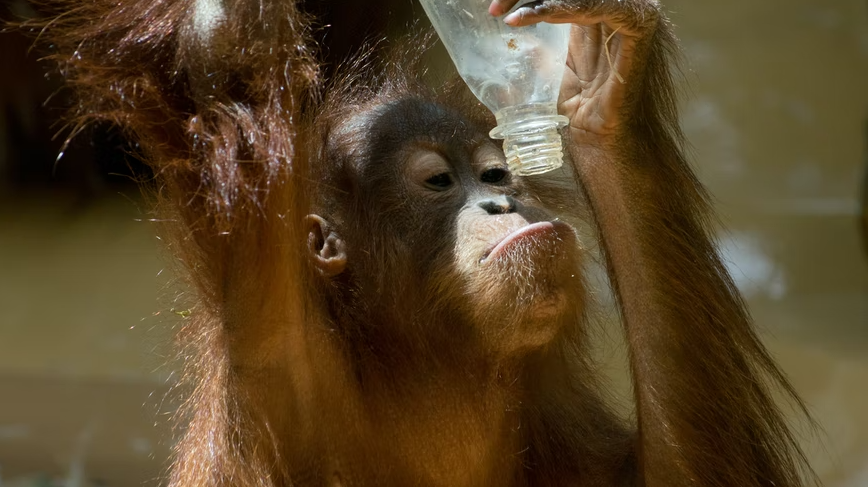 unsplash.com / Susanne Karl 