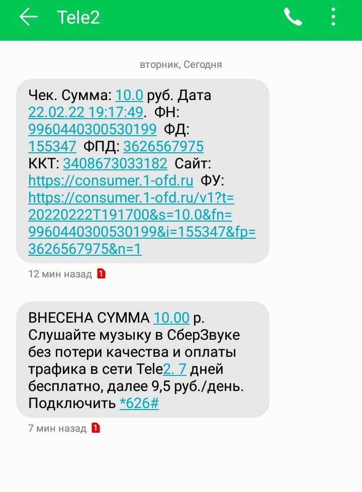Заработала 10 рублей в интернете.