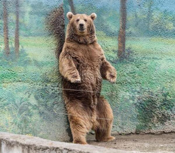 Источник фото: instagram.com/rostov_zoo_official 