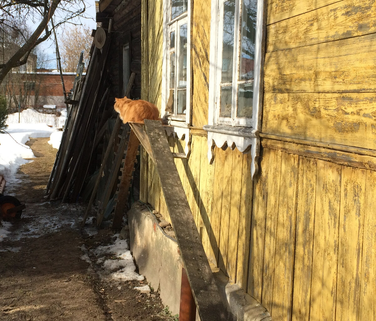 Вот такая площадка теперь у котов есть. Фото автора