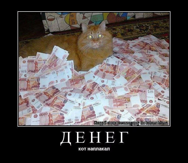 Дайте кота. Кот с деньгами. Прикольные картины с деньгами. Денежный котик. Смешные картинки про деньги.