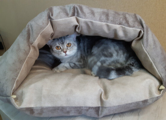 Лежанка-пещера