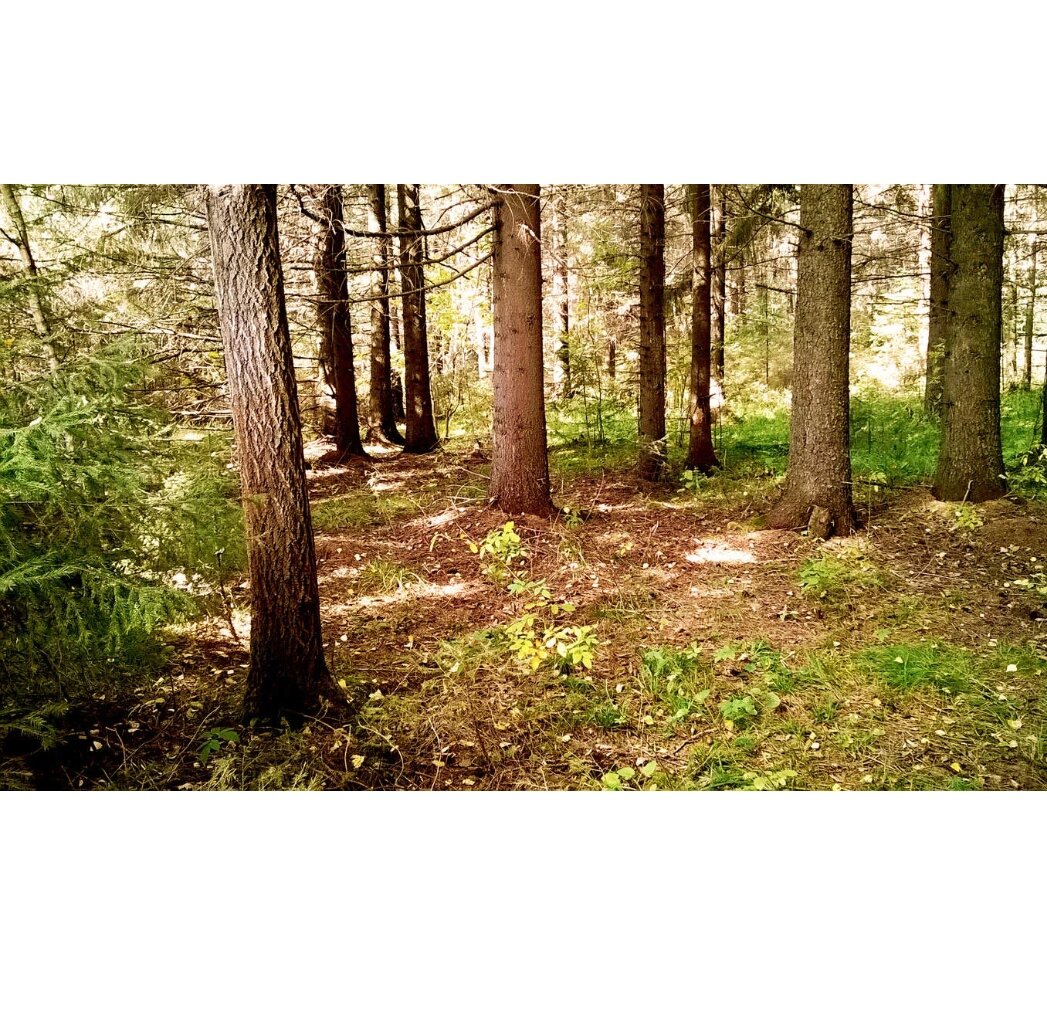 Фото из интернета