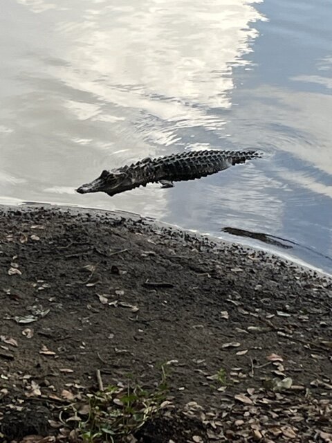 Фото прислано приятельницей...