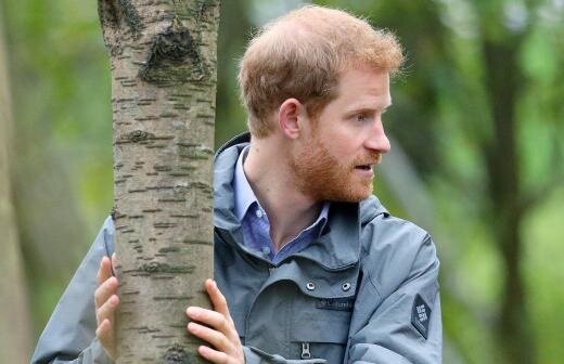 Фото из сети Интернет 