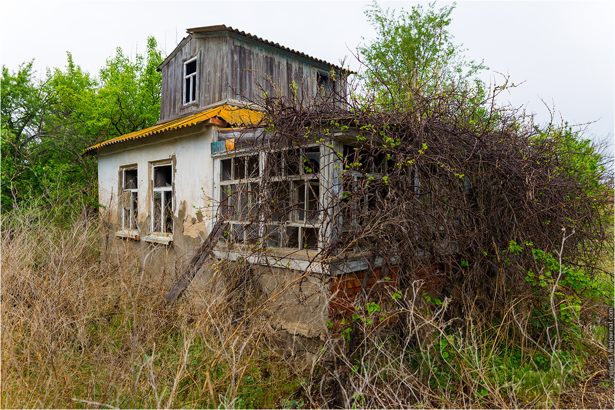 Взято з интернета