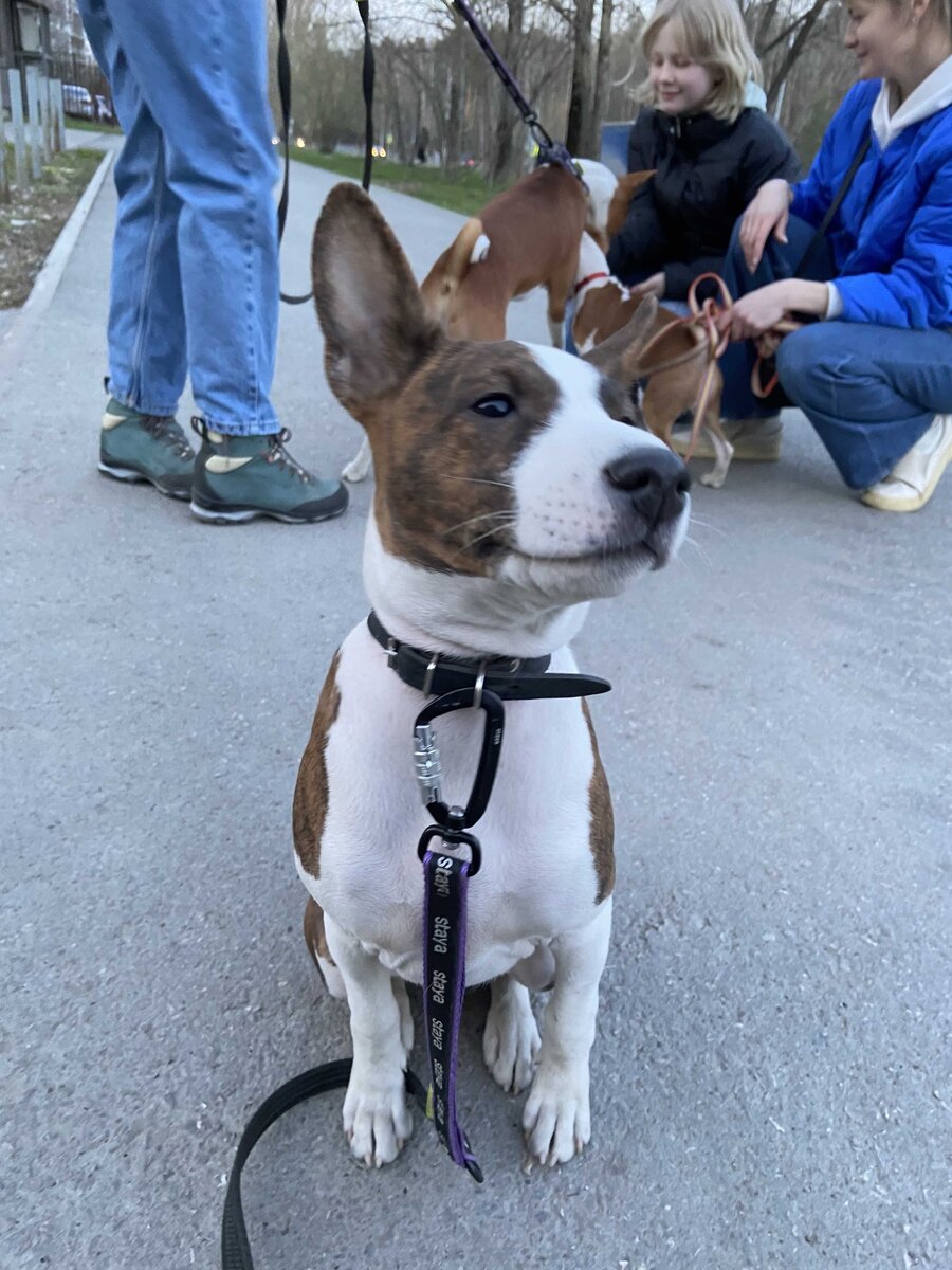 Снимаешь меня, да? Фото автора