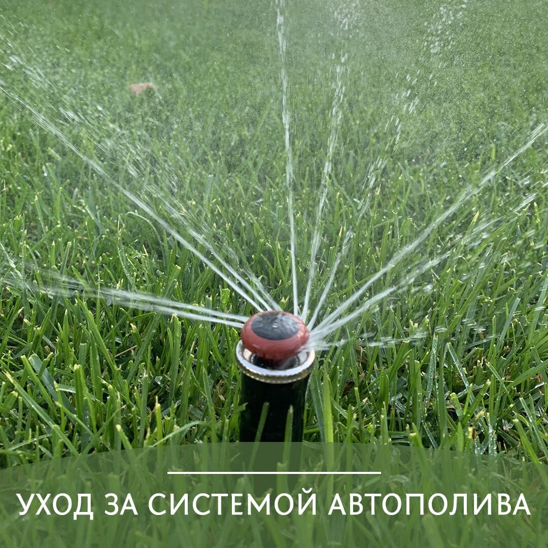 #системы автополива #автополив #автополиврастений #обслуживание автополива #поливрастений #поливцветов #уходзасадом 