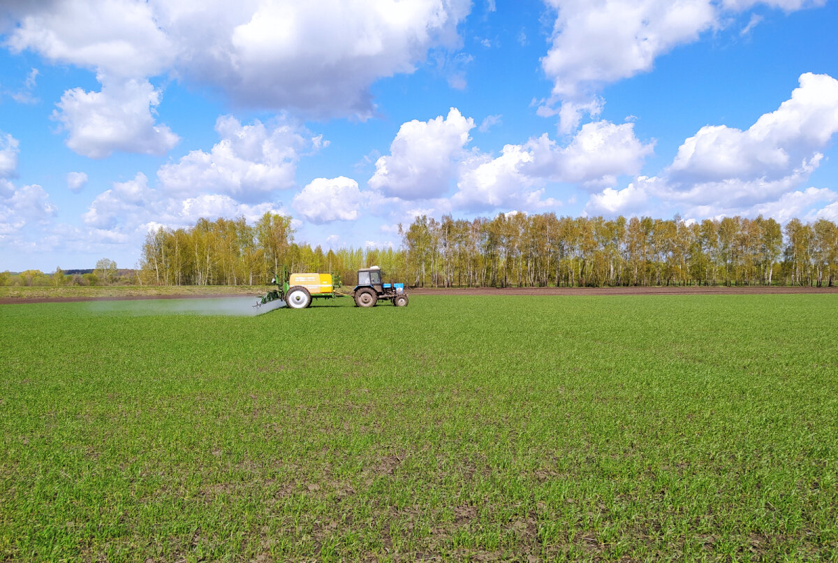 Проведение некорневой (листовой) подкормки Apaliqua ЖКУ NP 11:37 (07.05.21 г.)