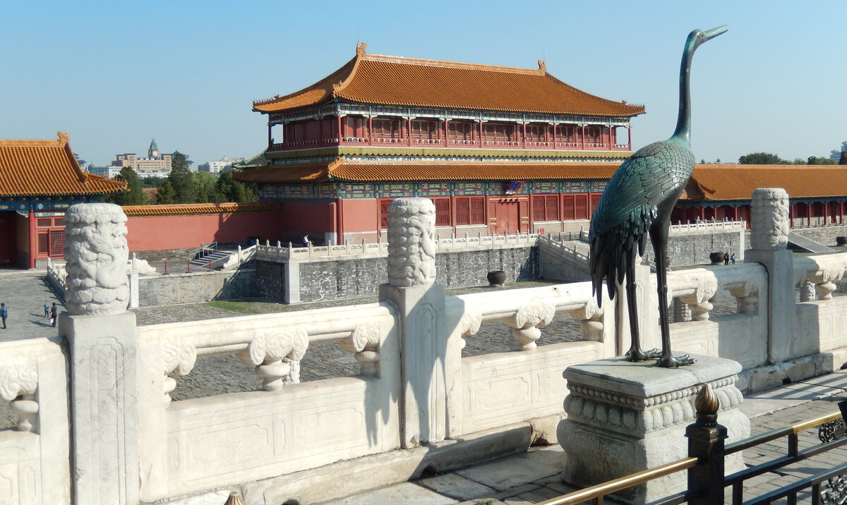 Источник фото: www.rovdyrdreams.com