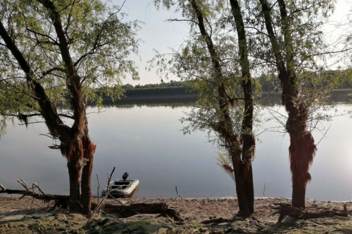    Тюменцы ловят язей и лещей из обмелевшей реки Туры
