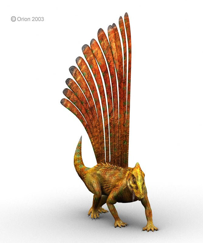 Вождь племени ирокезов.