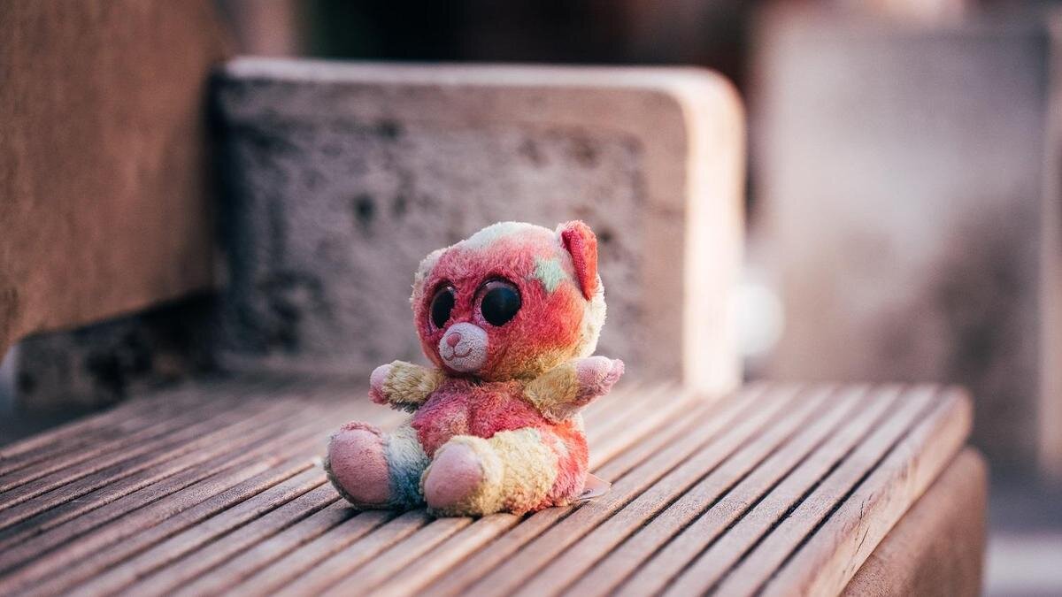    Оставленная на скамейке игрушка:pexels.com