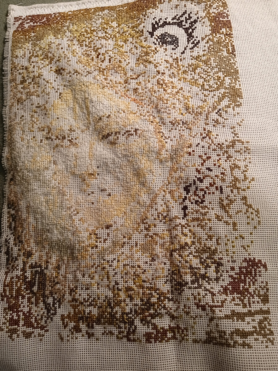 Это будущий Кришна