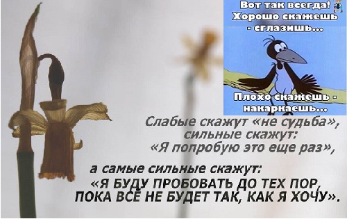 Я хочу 