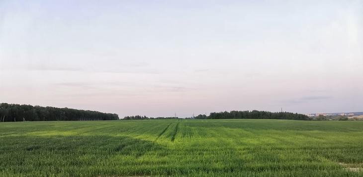    Агробизнес в России укрупнился и окреп