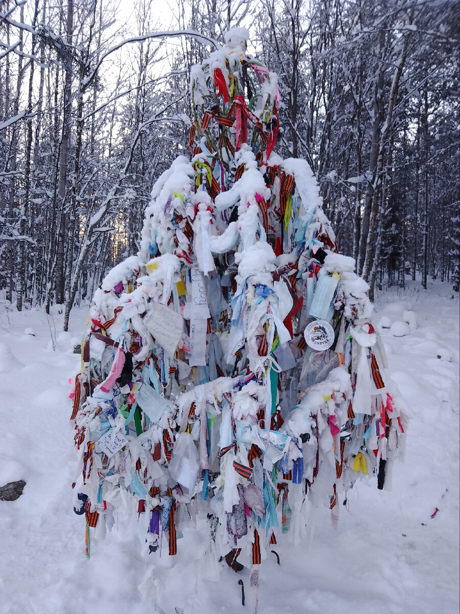 Там ещё ёлочка была и -20 по Цельсию.