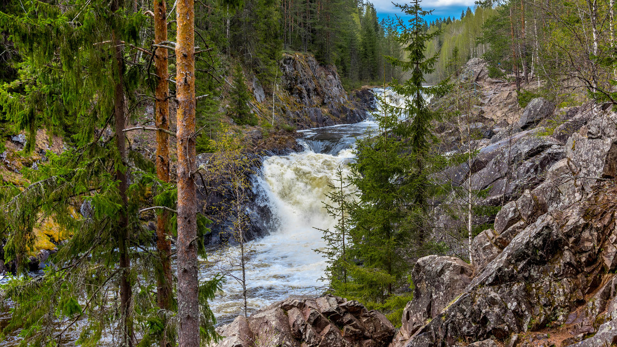 (Фото: Владимир Лазарев)
