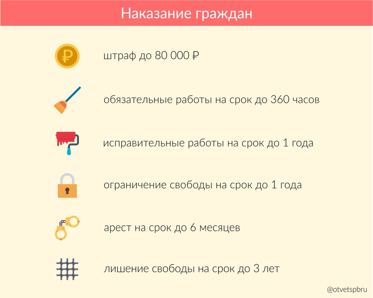 Как наказывают за жестокое обращение с животными? | Ответ.Санкт-Петербург |  Дзен