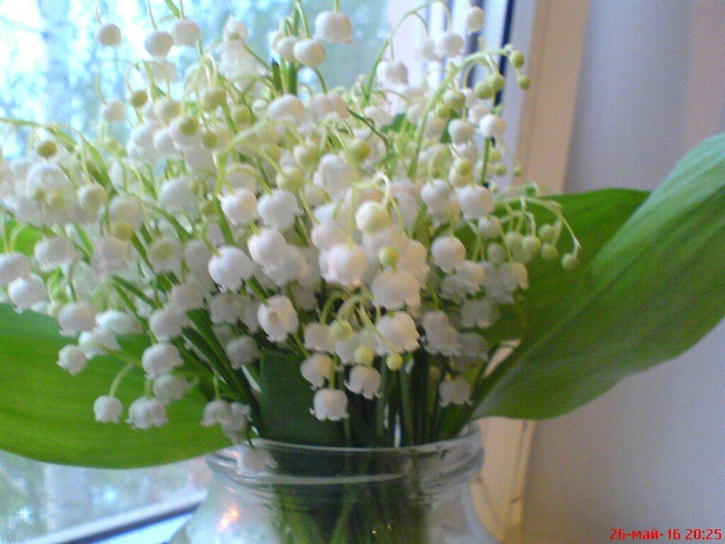 Вблизи и вдали