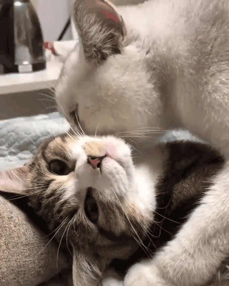 Нажми на картинку, чтобы посмотреть видео. Источник: Ютуб.