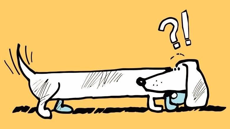 «Вилять собакой» - намеренно отвлекать внимания от более важного к менее значимому вопросу.