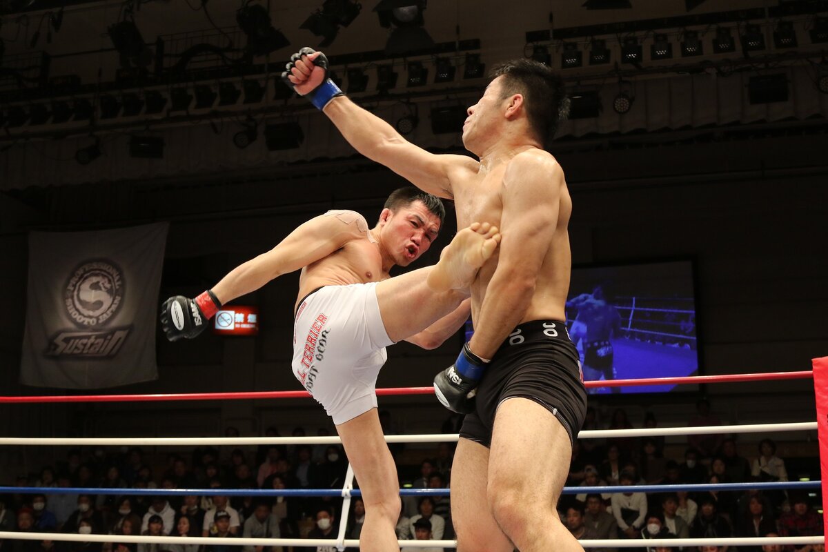 https://pixabay.com/photos/mixed-martial-arts-sport-kick-1314503/