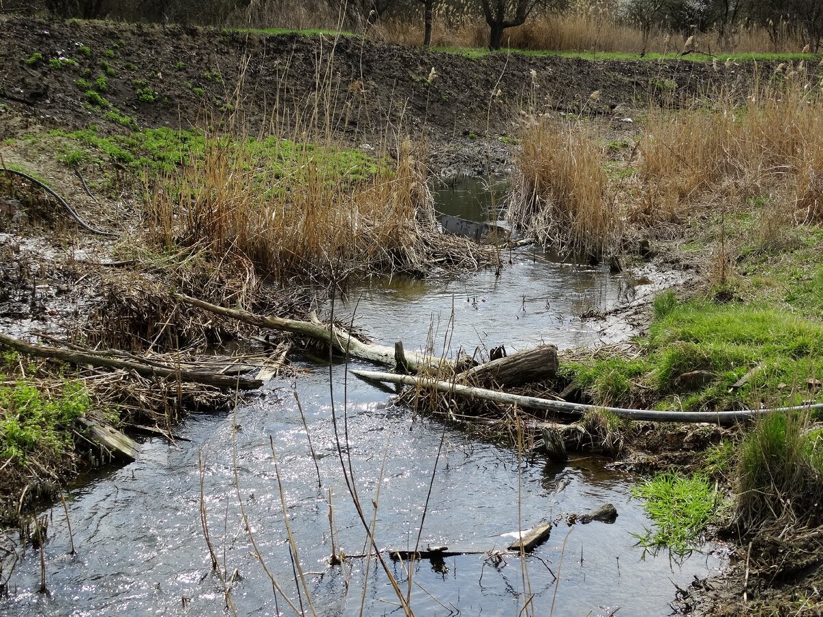 дождь в окне. мокрый край. мокрый край. мокрый край. заповедник закан кчр.
