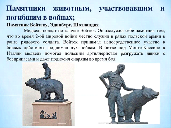 Проще, чем кажется: как найти информацию о героях Великой Отечественной войны