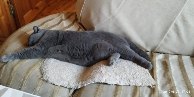 Устала после работы)