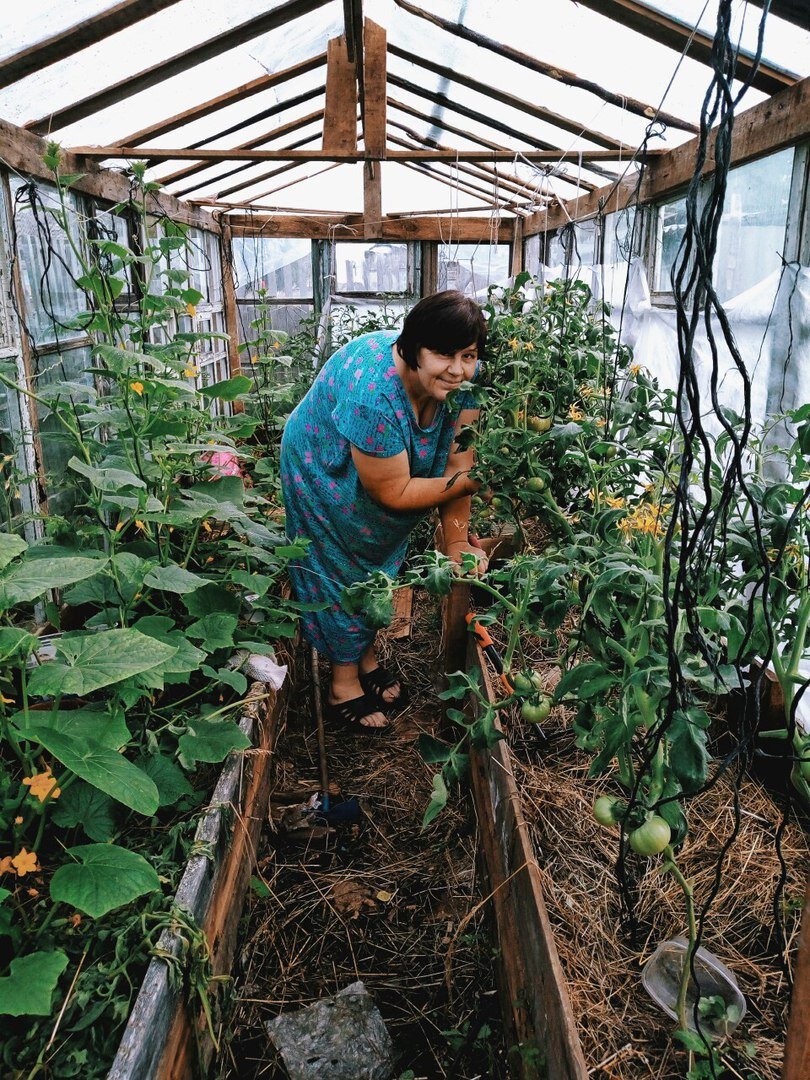 (сынок построил теплицу