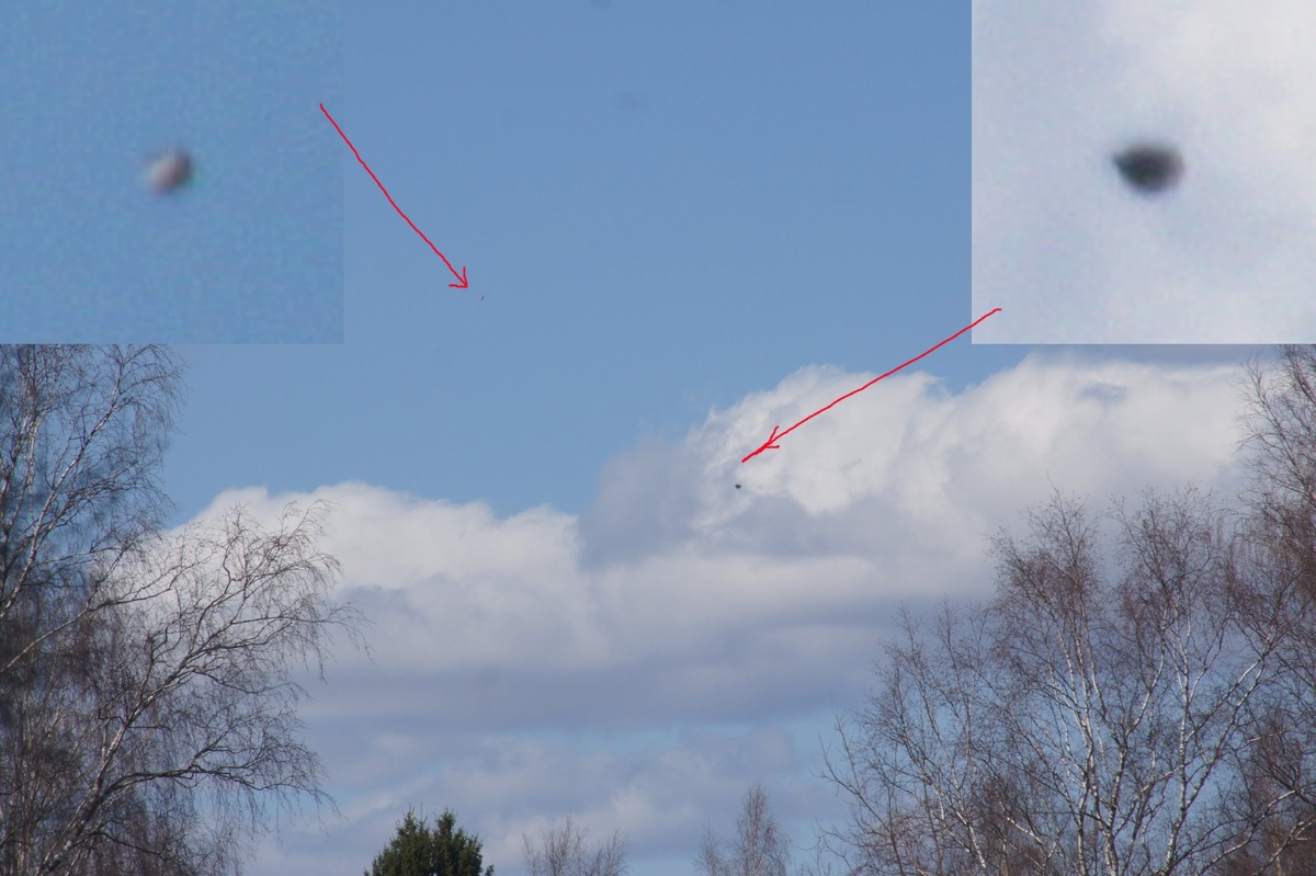 Завидовский государственный заповедник 28.04.2020