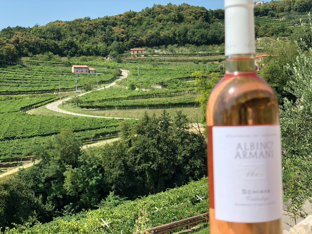 Долина Вальполичелла. Винодельня Albino Armani. 
