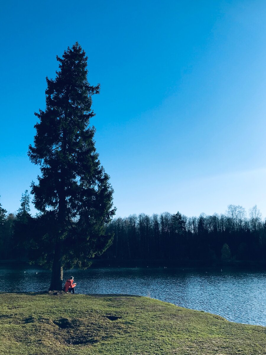 Самоизоляция. май 2020