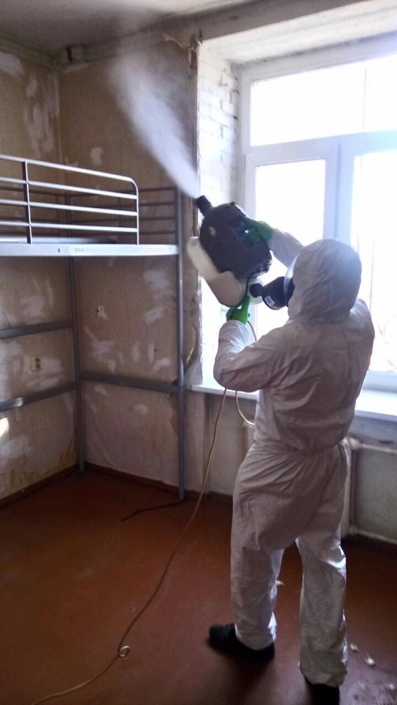 Дезинсекция и дератизация 