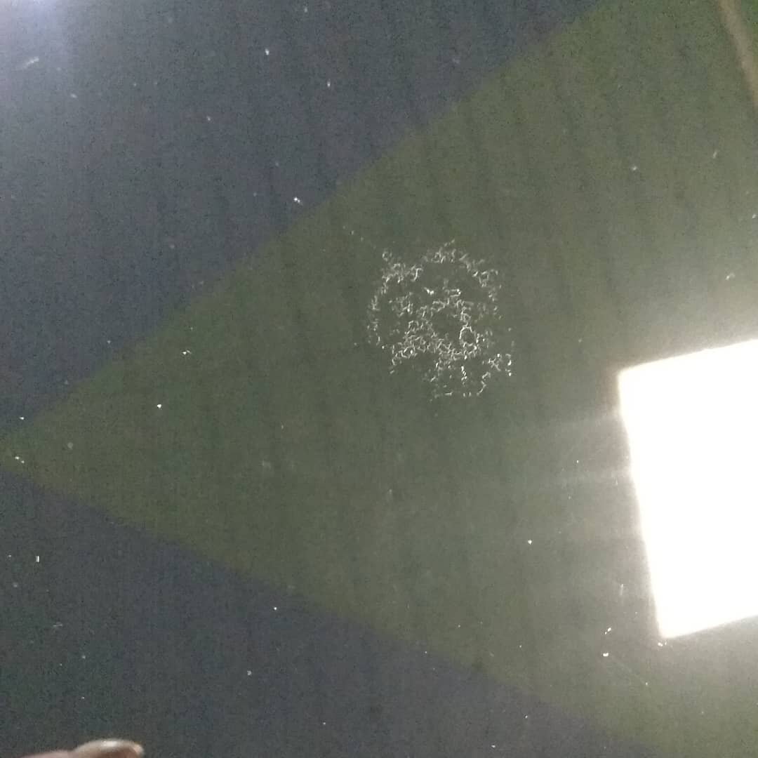 Это последствия разъедания птичьим пометом лака автомобиля