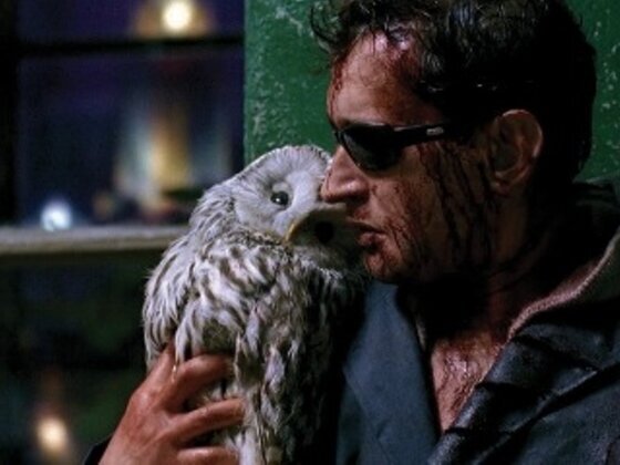 Изображение с сайта filmpro.ru