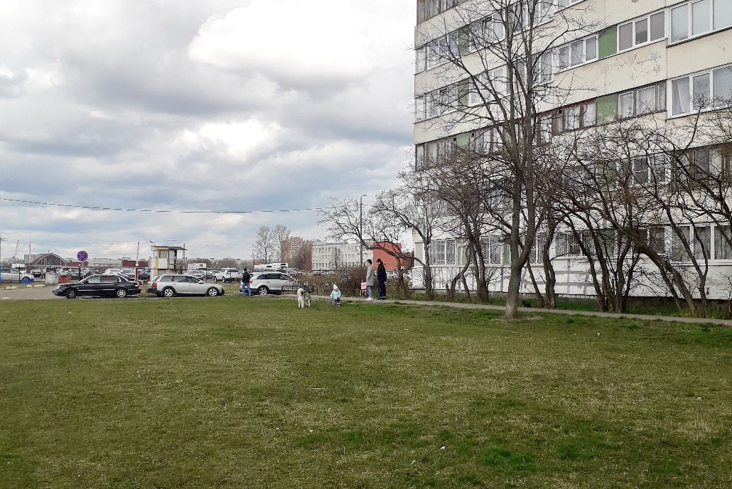 Шпионим издали). Та самая семья)
