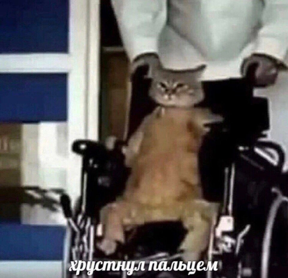 Я слишком стар для всего этого. Источник: yandex.com