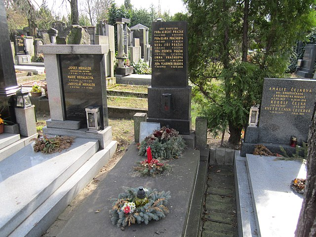 Здесь похоронен Альберт Пражак (фото с Вики)