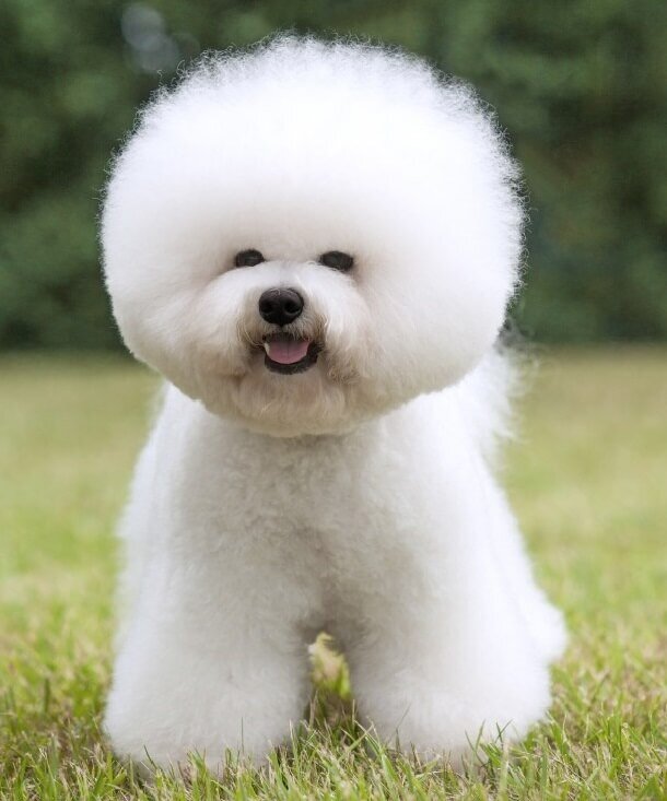 Фото из свободных источников 