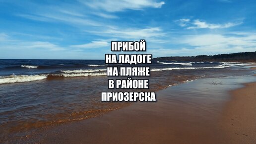 Барашки прозрачных холодных волн Ладоги на песчаном пляже близ Приозерска. Безмятежность северной природы.