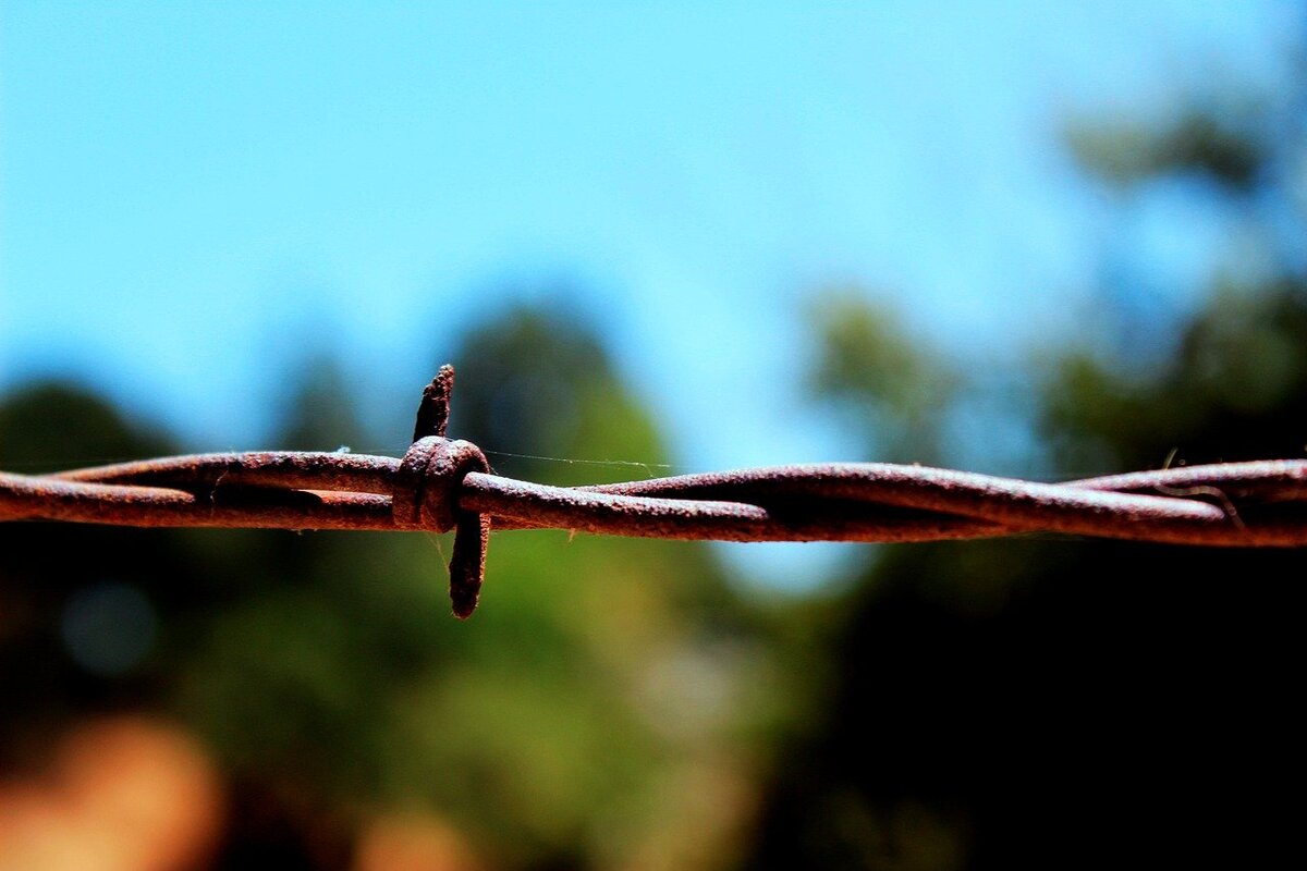 Царапина, которой не каждый придаст значение может стать фатальной! 