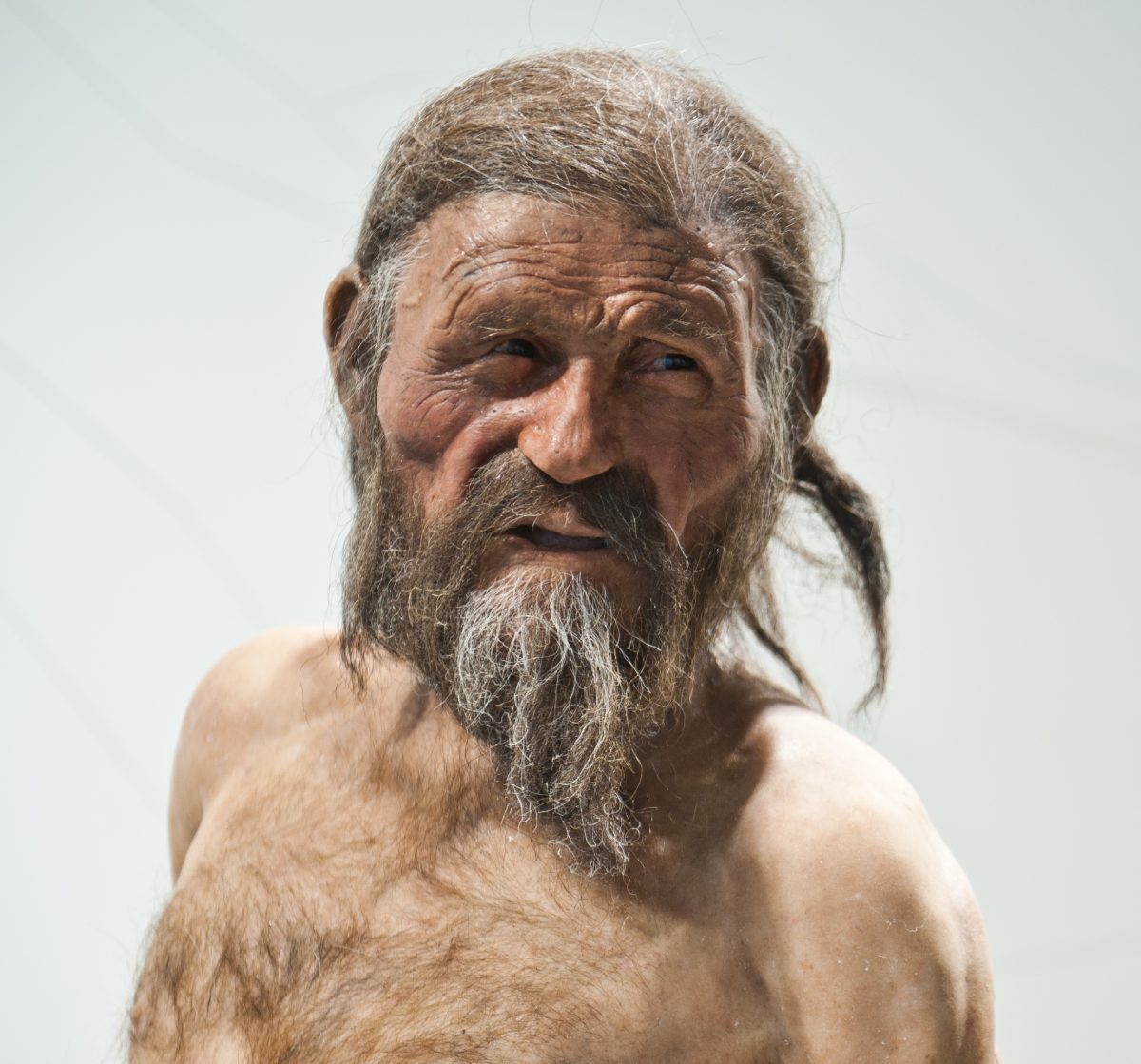 Знакомьтесь, Эци — ледяной человек из Тироля. Фото: © South Tyrol Museum of Archaeology/Foto Ochsenreiter