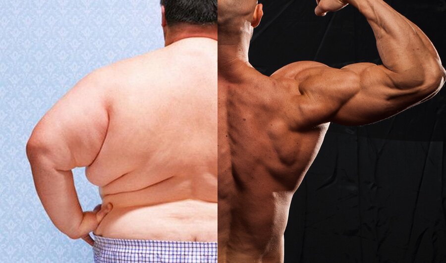 Складки жира сзади: как убрать жир со спины и поясницы, похудеть