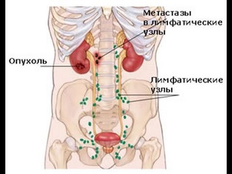 Источник изображения: Яндекс.Картинки